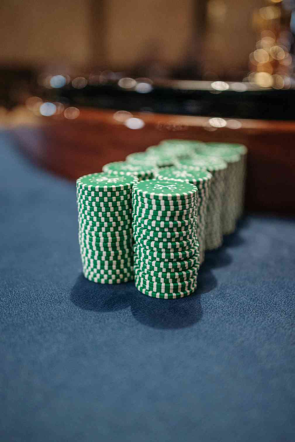 asino asino
