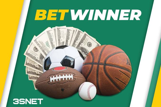 Everything You Need to Know About BetWinner 995338817
