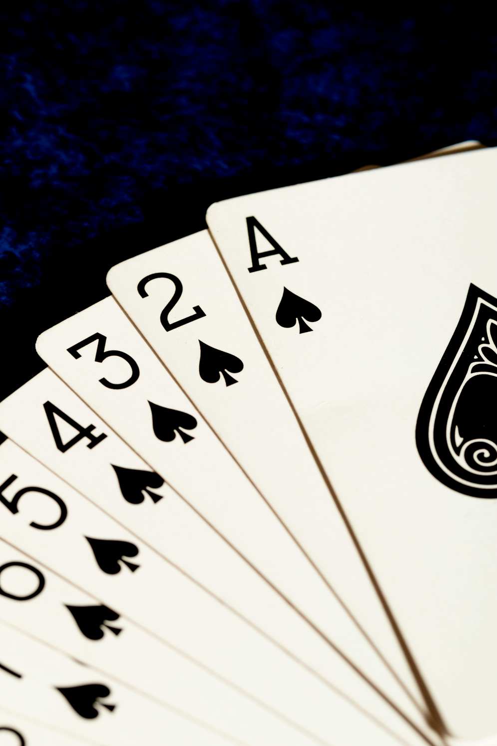 wild robin casino online wild robin casino online